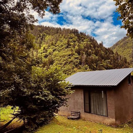 Cozy House In The Forest Bordschomi Exterior foto