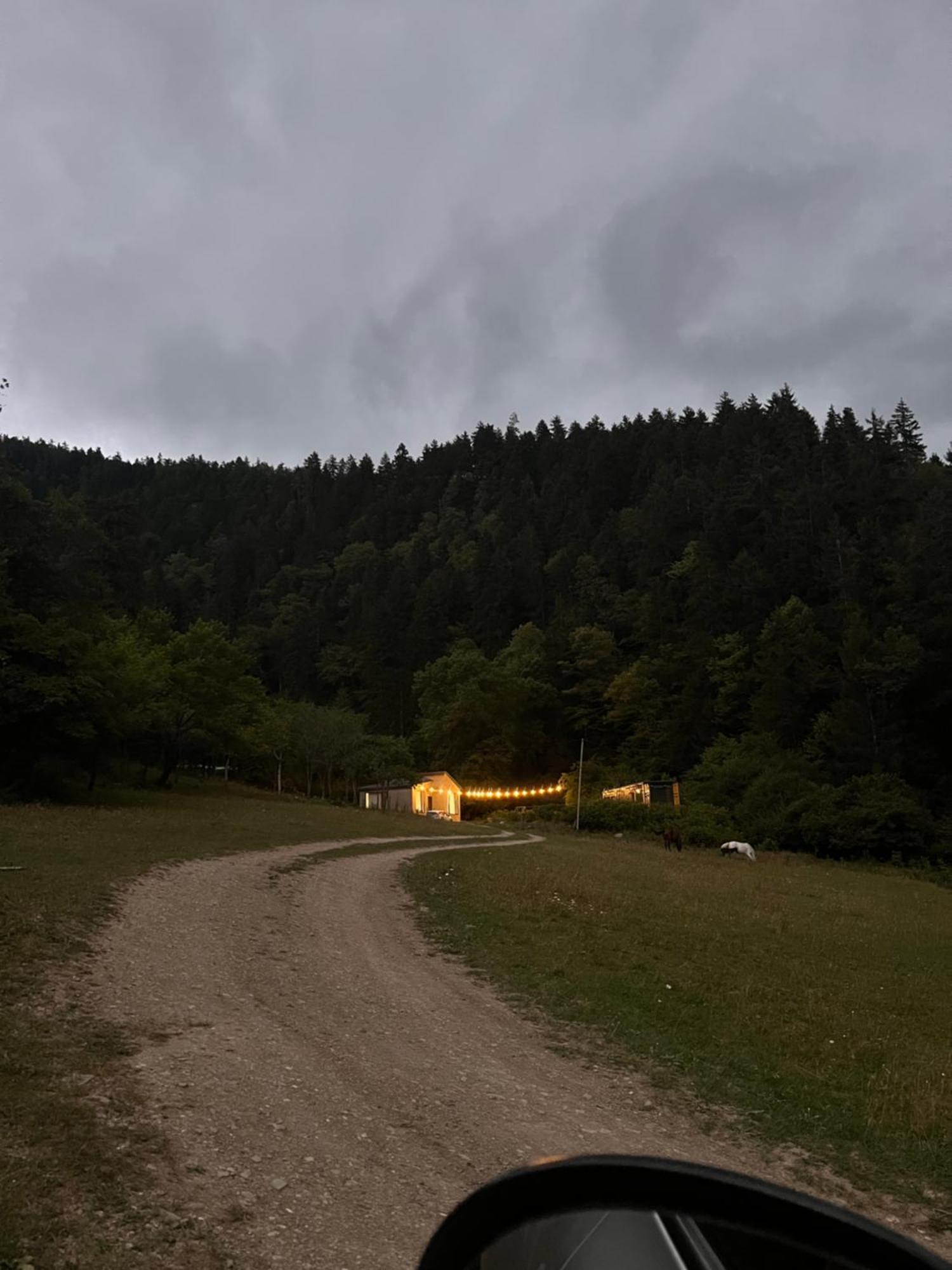 Cozy House In The Forest Bordschomi Exterior foto